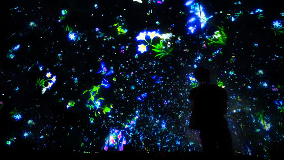 Flower Projection Falling Universe of Flowers – Projection Mapping Central